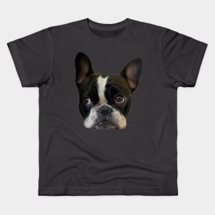 Funny french bulldog puppy Kids T-Shirt